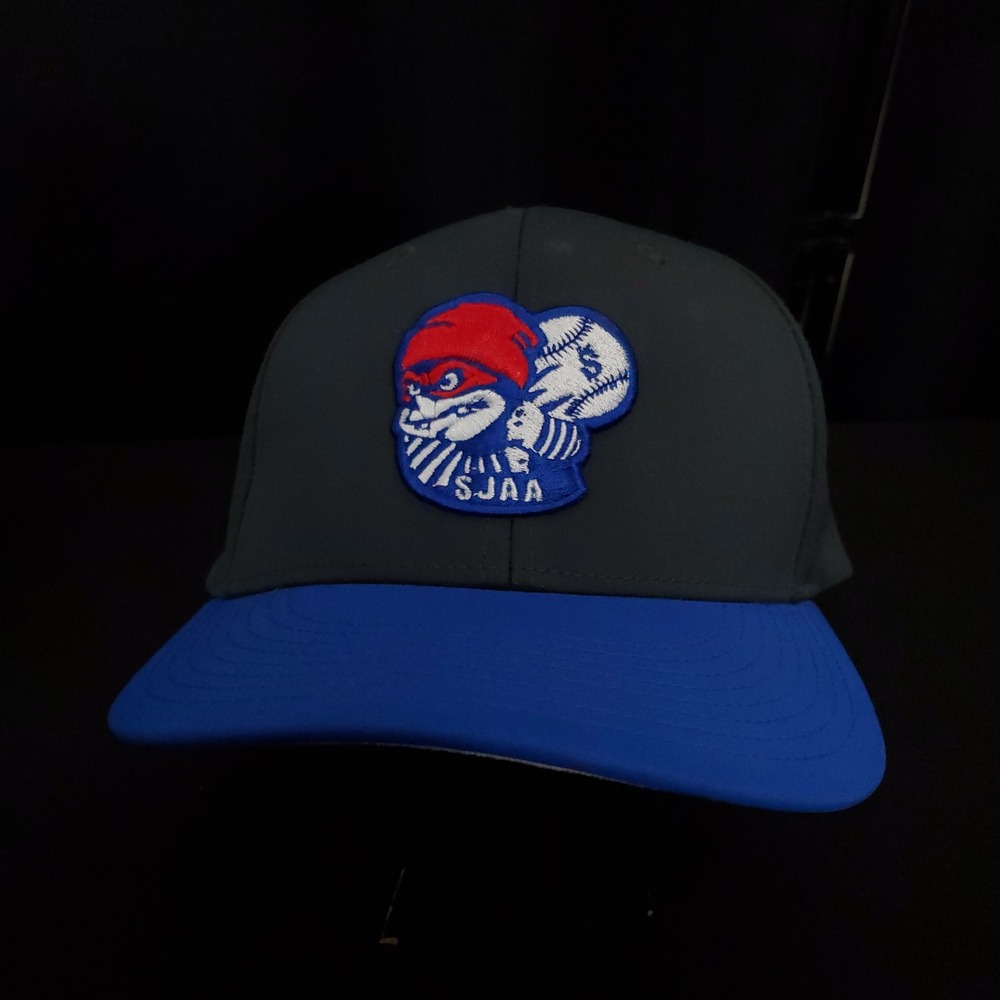 CHAMPRO Baseball Cap XL Fitted Hat Gray Blue Logo San Jose Athletic Association